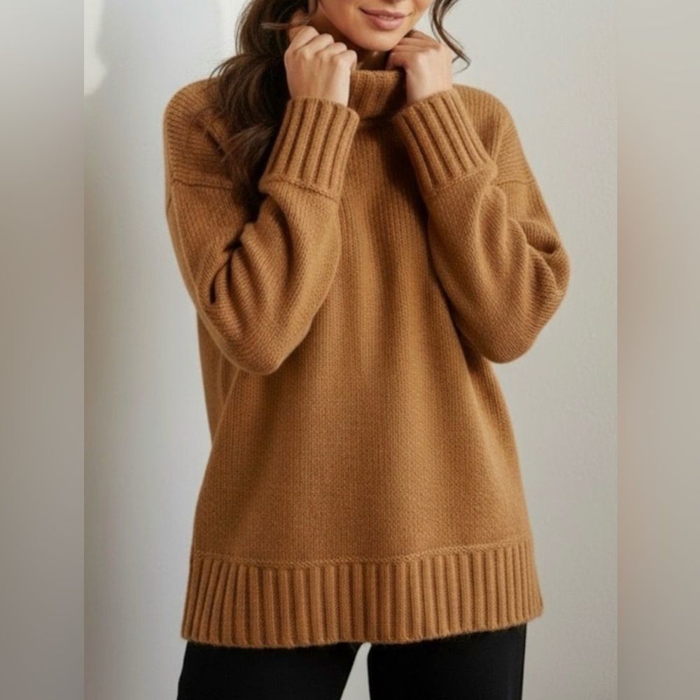 Everlane The Cloud Turtleneck